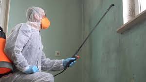 Best Residential Mold Inspection & Testing in USA