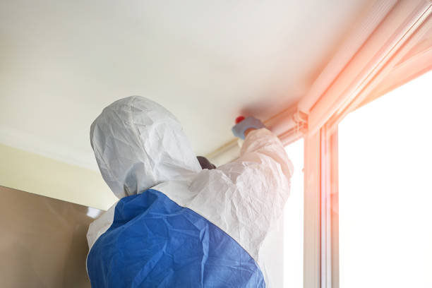 Best Forensic Mold Investigation in USA